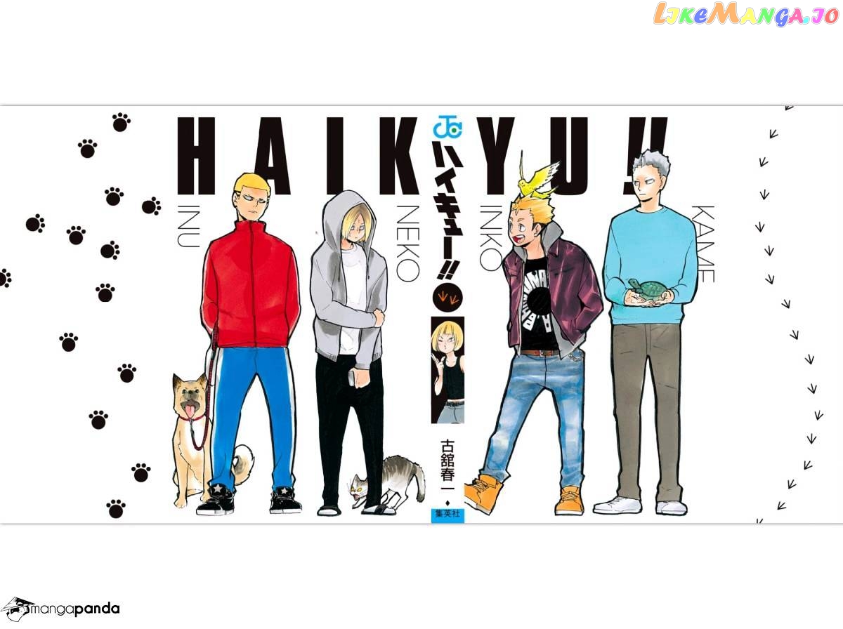 Haikyuu!!, Chapter 215 image 02